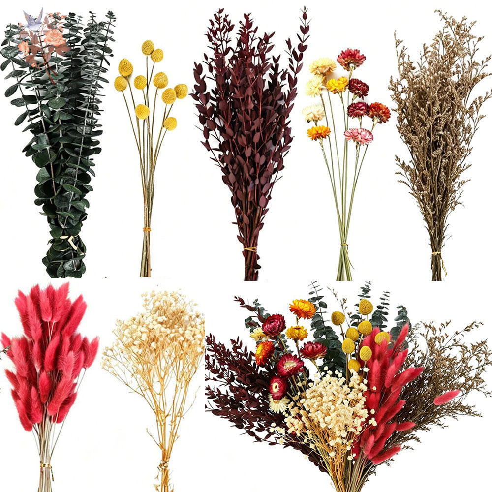 The Florist Supply - Gedroogde bloemen, grootverpakking met 7 soorten,