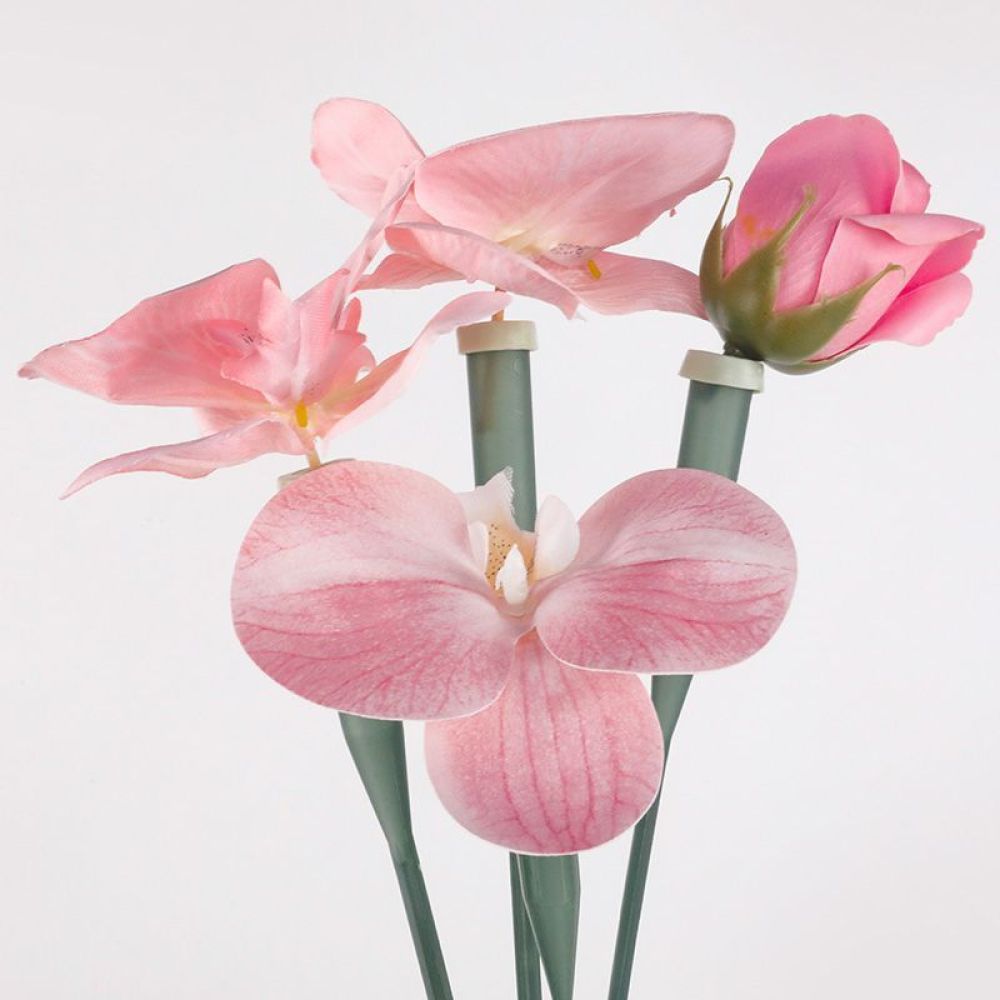 The Florist Supply Shop - Bloemenconserveringsbuizen Transparante Plastic Flesjes Voor Vers
