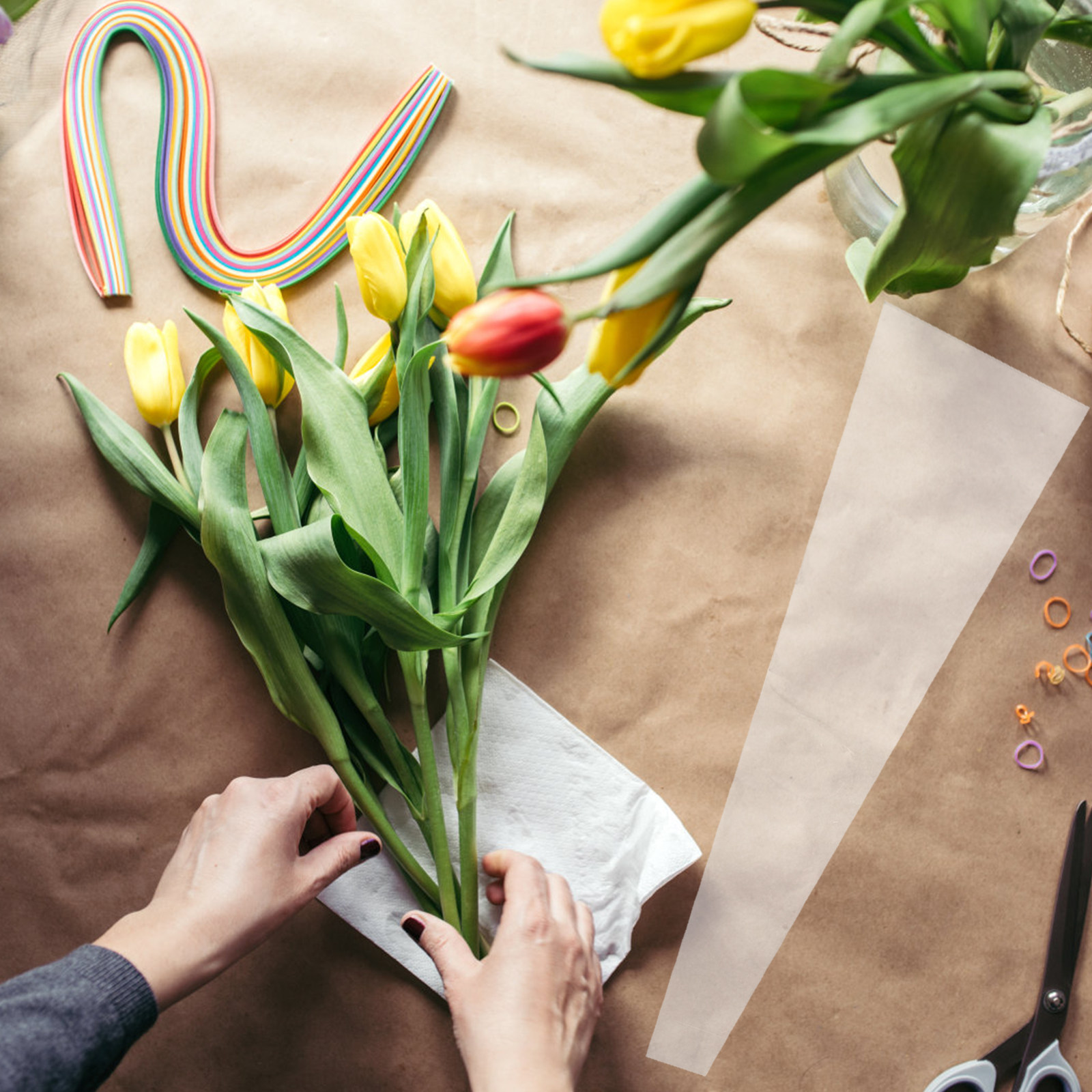 50 stuks scheurbestendige cell - The Florist Supply recensie en prijs